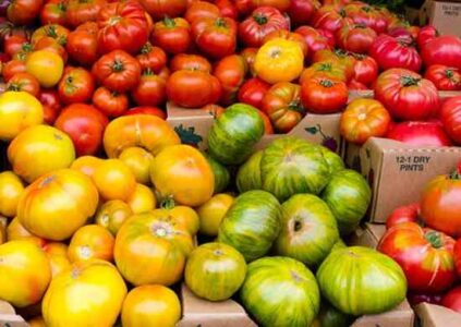 Best-Tasting Tomatoes Image